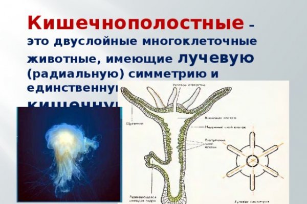 Кракен официальная ссылка