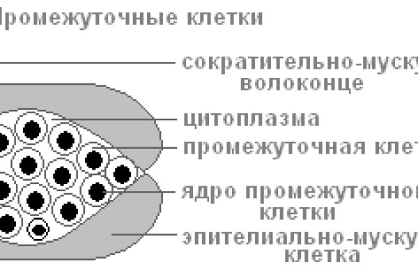 Кракен без тор